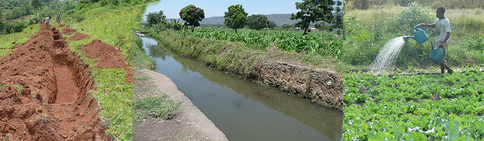 Land & Water Management